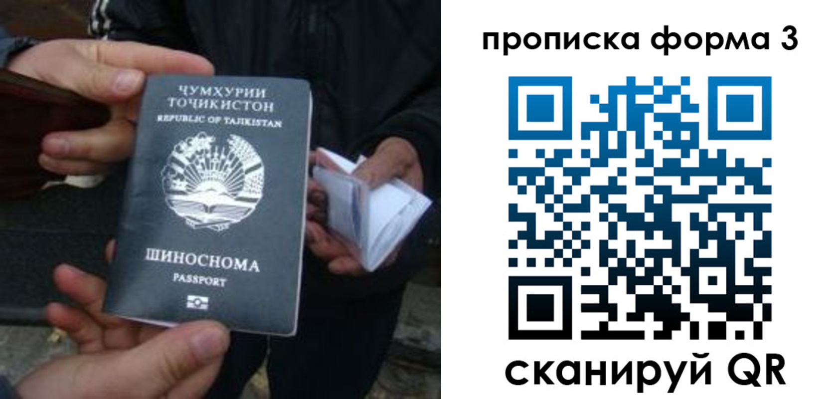 прописка 2025 в Красном Сулине
